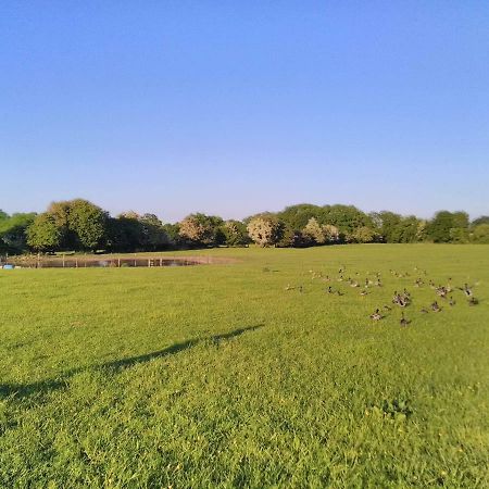 Castletownmoor Clinic & Permaculture Farm Kells (Meath) Exterior foto